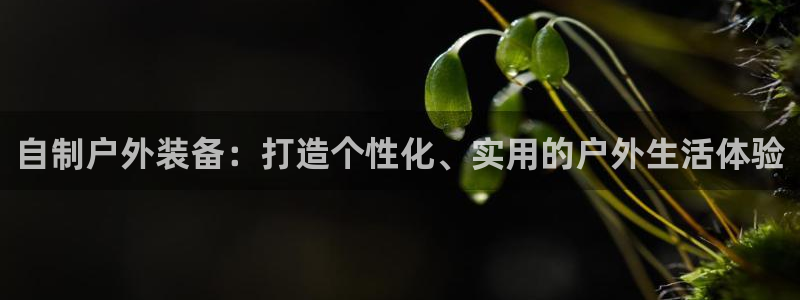 新宝gg网娱乐