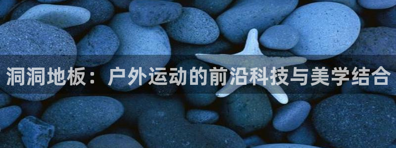 新宝gg在哪开户