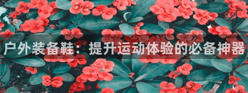 新宝gg网