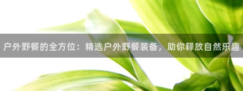 新宝gg下载官网下载