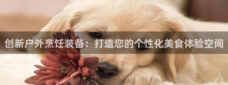 新宝gg干嘛