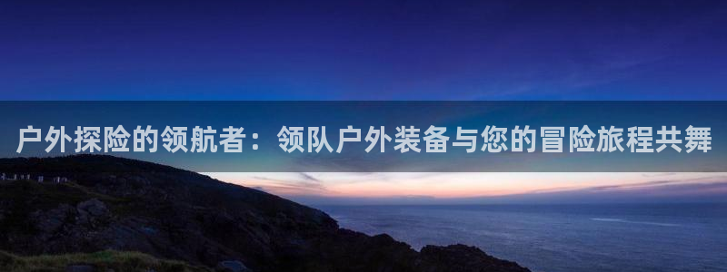 新宝gg是什么
