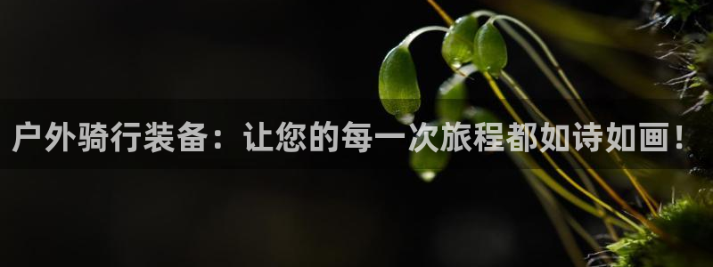谁有新宝GG