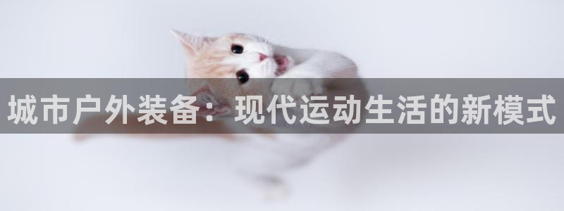 新宝gg官方下载