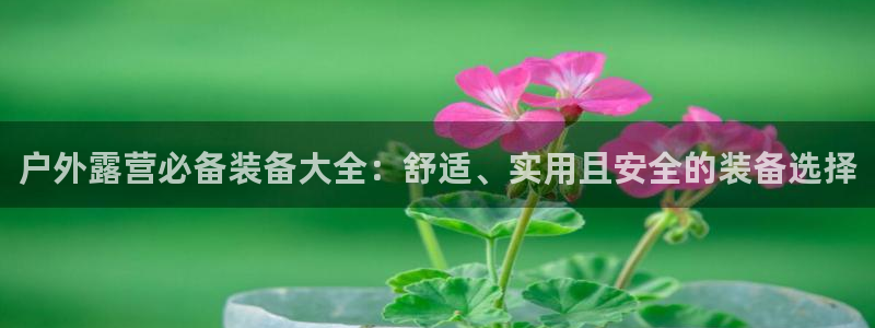 新宝gg 502