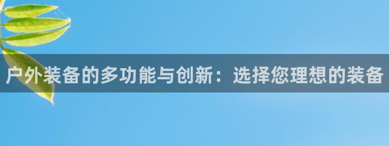 新宝GG股东