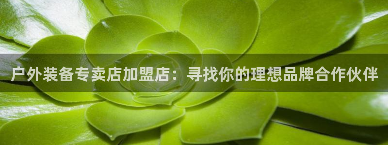 新宝gg直属上级