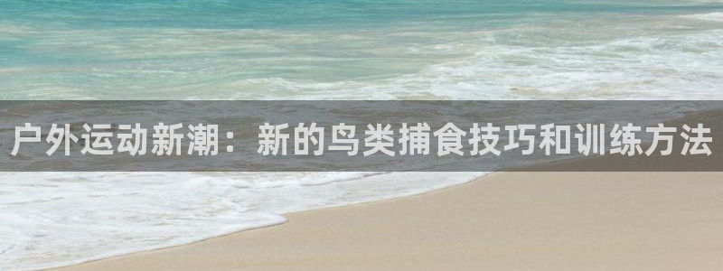 新宝gg直属上级