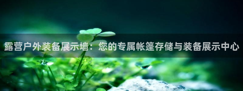 新宝gg ios下载