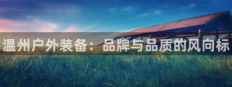 新宝gg开好