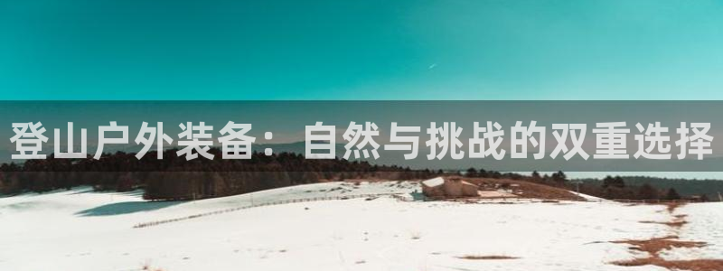 新宝gg工资
