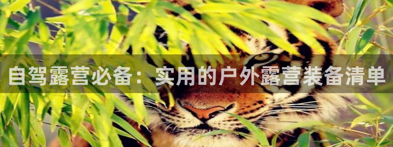 新宝gg玩法
