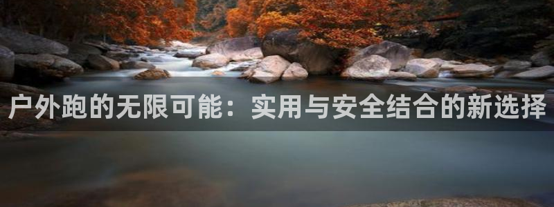 新宝GG登录网页