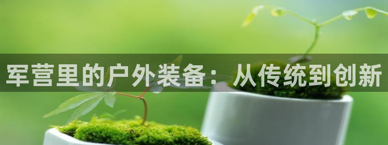 新宝gg登录地址