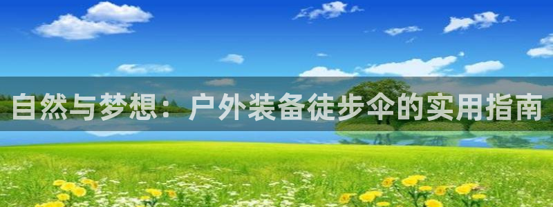 新宝gg怎么样