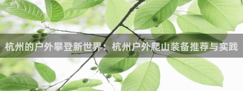 新宝gg推荐