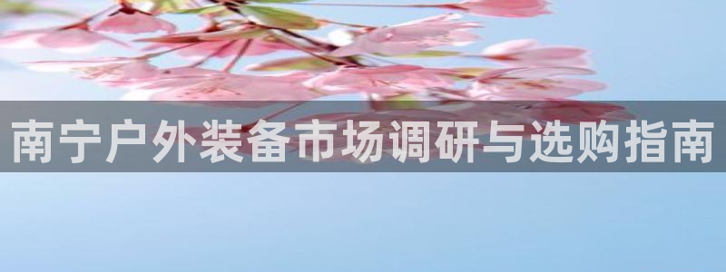 新宝 gg 总代理