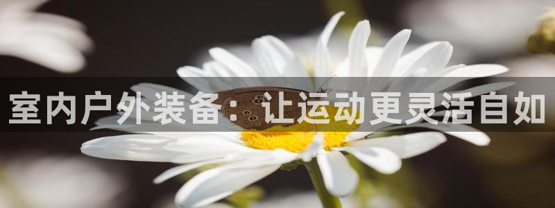 新宝gg创造奇迹 新宝gg