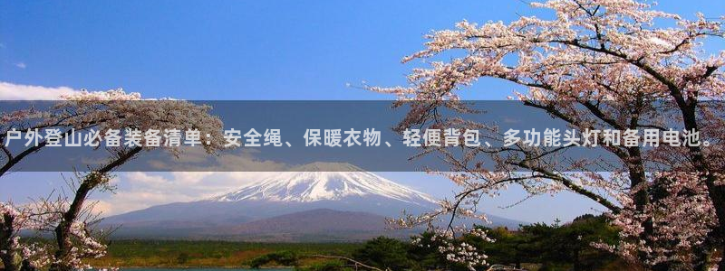 新宝gg属于