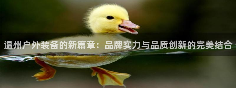 新宝gg成立