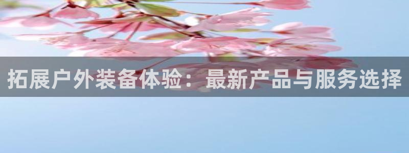 新宝gg登录地址