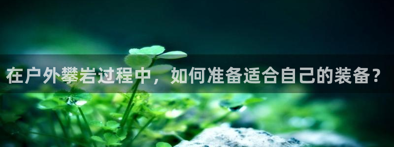 新宝gg代理条件