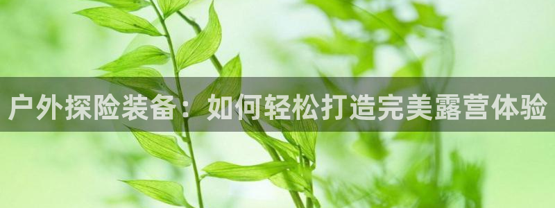 新宝gg如何做到总代理