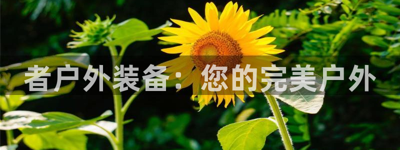 新宝gg登录注册