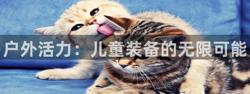 新宝gg手机版下载