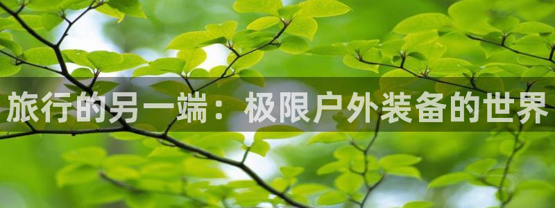 新宝gg如何代理