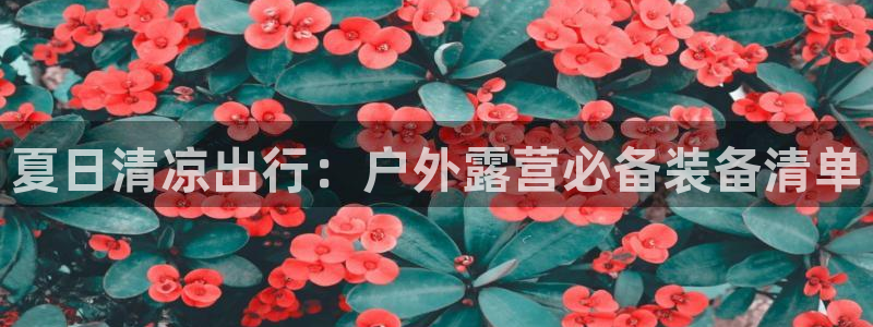 新宝gg8
