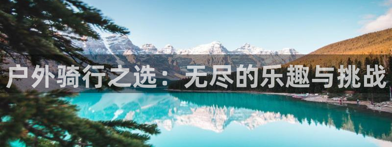 新宝gg找回账号