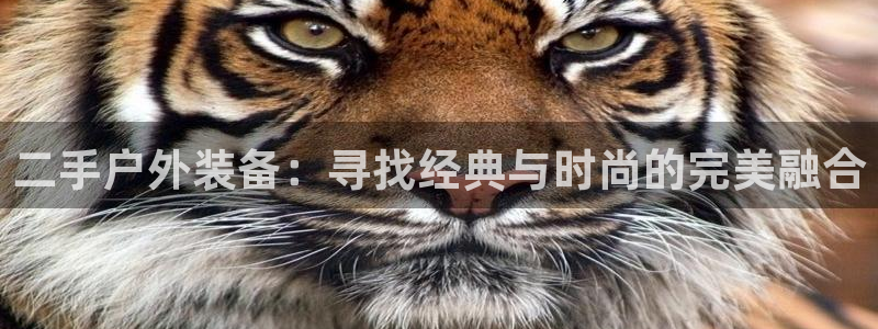 新宝gg维护
