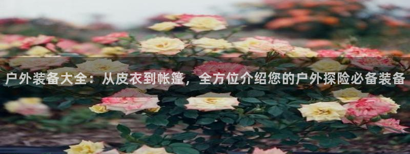 下载新宝gg