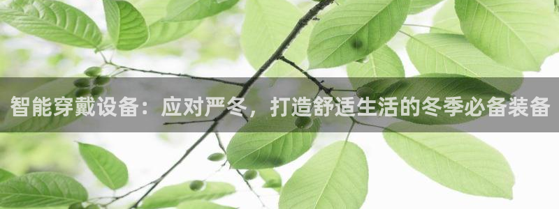 新宝gg维护