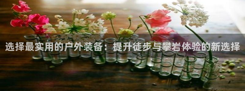 新宝gg创造奇迹平台
