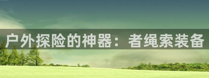 新宝gg ios下载