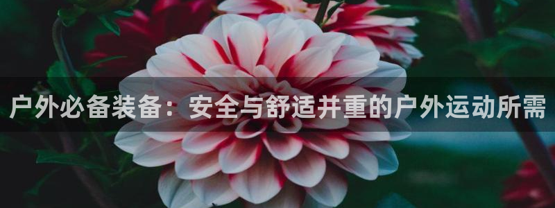 新宝gg如何注册登录