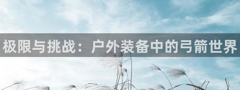 新宝六与新宝gg