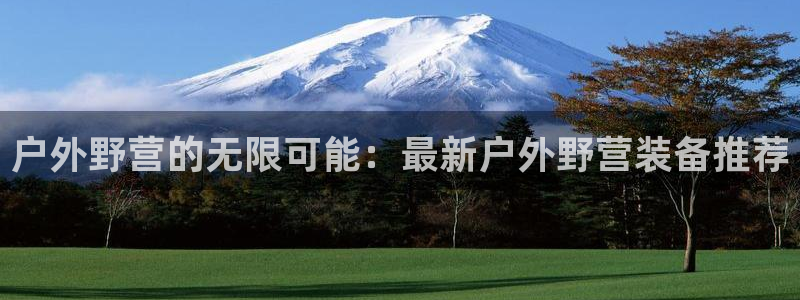 广东新宝电器gg