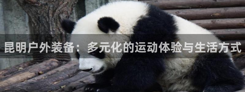 新宝GG53339咨询新宝GG