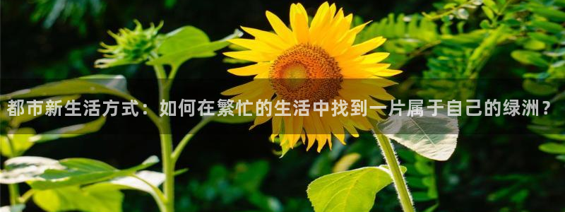 怎么下载新宝gg