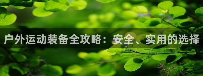 新宝gg娱乐盟主