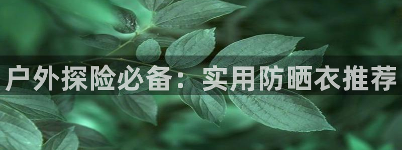 新宝gg申请账号