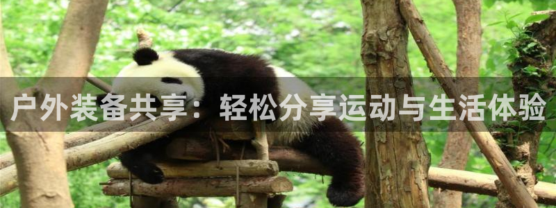 新宝gg娱乐怎么样