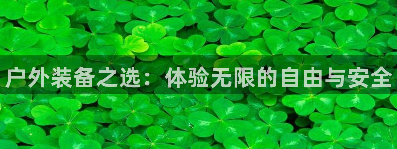 新宝gg登录平台