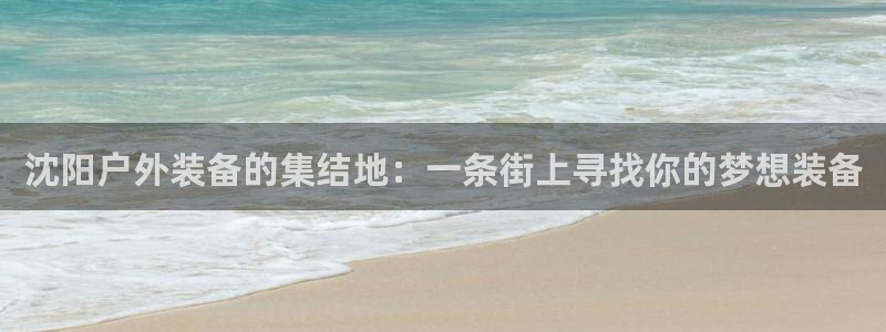 新宝gg软件下载