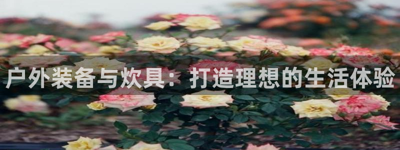 新宝gg手机版下载