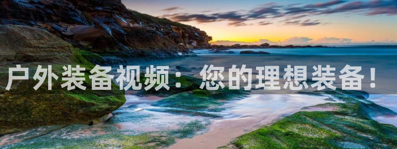 新宝 gg 登录注册