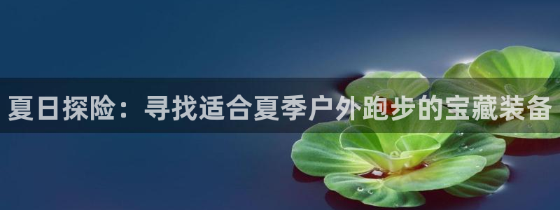 新宝gg平台注册